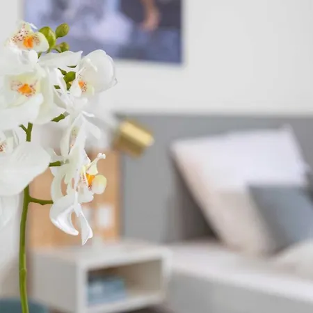 Apartament Nino-boardinghouse 7 *